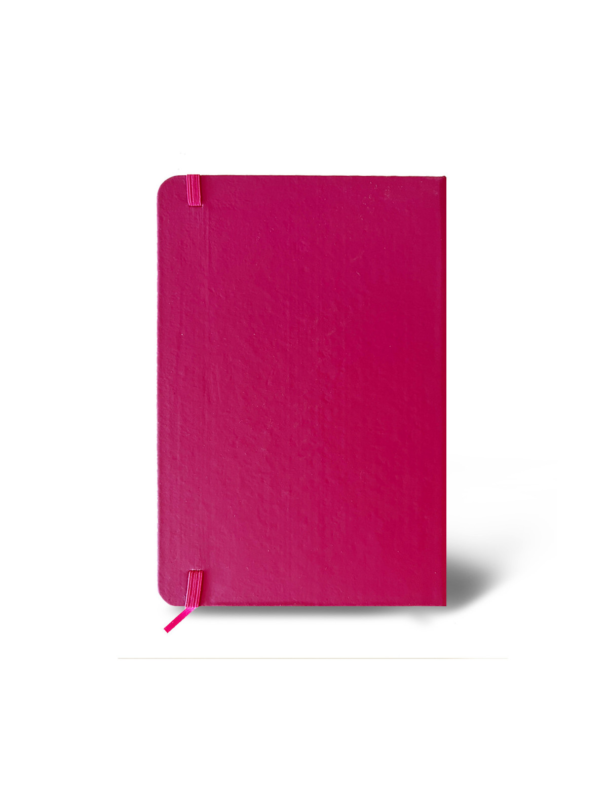 cuaderno de Aelem asociación española de lucha contra la esclerosis múltiple cuaderno para ayuda donación